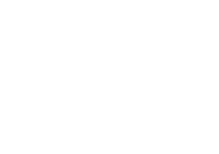 Johns Orthopedic Logo